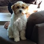 Bertha Boonstra - Facebook