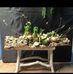 Bertha Bos - Facebook