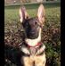 Bertha Bos - Facebook