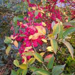 Bertha Bos - @bertha.bos - Instagram