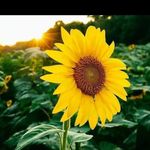 Bertha Caldera - @calderabertha11 - Instagram
