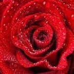 Bertha Cano - @cano.bertha - Instagram