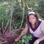 Bertha Carrillo - @bertha.carrillo.31521 - Instagram