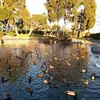 berthacerda958 - @berthacerda958 - TikTok