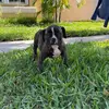 Bertha Chacon - @jbc0904 - TikTok