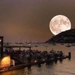 Bertha Chambers - @cetintuglu13987958 - Instagram