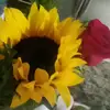 berthachan2 - @berthachan2 - TikTok