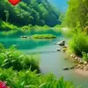 Bertha Chi - @bertha.chi - TikTok