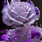 Bertha Cisneros Tito - Facebook