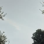 Bertha clement - @bertha23038 - Instagram