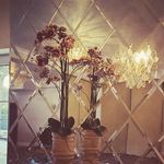 Bertha Colea - @innendesign_byberthacolea - Instagram