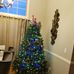 Bertha Cook - Facebook