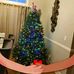 Bertha Cook - Facebook