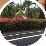 Bertha Cook McClure - @berthacookm - Instagram