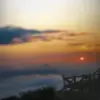 berthacooper02 - @bertha.cooper82 - TikTok