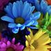 Bertha Delgado - Facebook