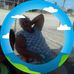 Bertha Dominguez - Facebook