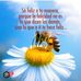 Bertha Domínguez Martínez - Facebook