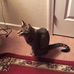 Bertha Ewing - Facebook