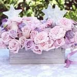 Berthafacio - @berthafacio7258 - Instagram