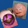 Bertha & farkle - @bertha_farkle - TikTok