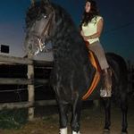 Berta Ferrer Cervelló - @berta_horses - Instagram