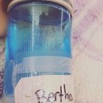 Bertha - @bertha_the_fish_bottle - Instagram