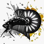 @bertha_fish23 - Instagram