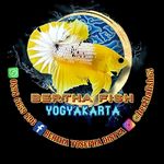 Bertha Fish - @berthafish65 - Instagram