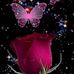 Bertha Floyd - Facebook