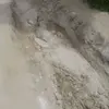 Bertha Frank - @bertha.frank5 - TikTok