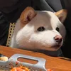 ワンちゃんの料理🍤 - @berthajeffrey - TikTok