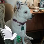Bertha Gardner - Facebook