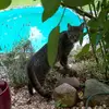 berthagardner6660 - @berthagardner6660 - TikTok