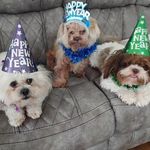 Bertha.R.Garner - @bertha.r.garner - Instagram