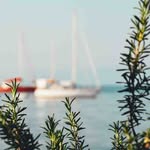 Bertha Gilbert - @berthagilbert540 - Instagram