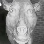 Official Bertha Gilbert - @bertha.gilbert69 - Instagram