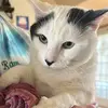 Bertha —> Good Lovin - @berthagoodlovin - TikTok