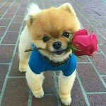 bertha - @berthagoodlu57 - Instagram