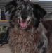 Bertha Hatfield - Facebook