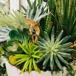 Bertha Herman - @bertha_herman_ - Instagram