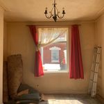 Bertha Amesbury - @bertha.home - Instagram