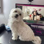 Bertha Holt - @berthaholt694 - Instagram