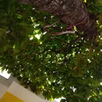 Bertha Montes Luis - @berthamontesluis - Instagram
