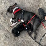 Bertha & Luna 🤎 - @bertha_luna_ - Instagram