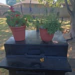 Bertha Mason - @berthamason505 - Instagram
