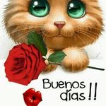 Bertha Medrano - @bertha.medrano.77 - Instagram