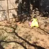 Bertha Medrano - @bertha.medrano - TikTok