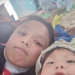 Bertha Mier Molina - @berthamiermolina - Instagram