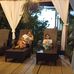 Bertha Moncada - Facebook